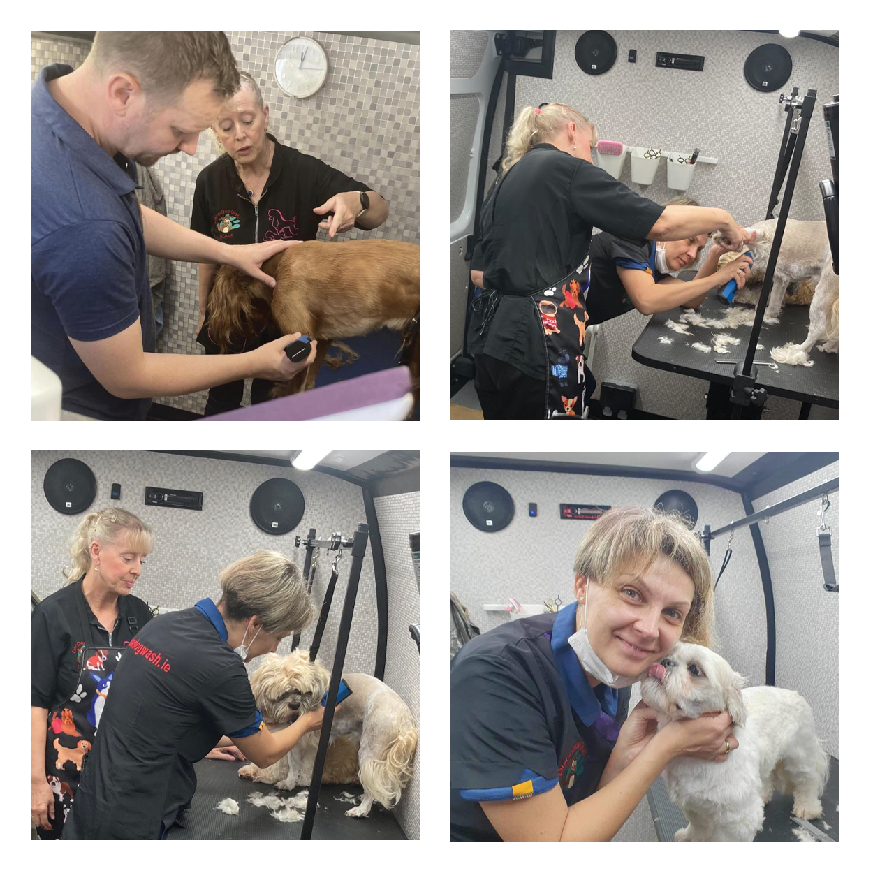 Dial a Dog Wash Ireland: Award Winning Training