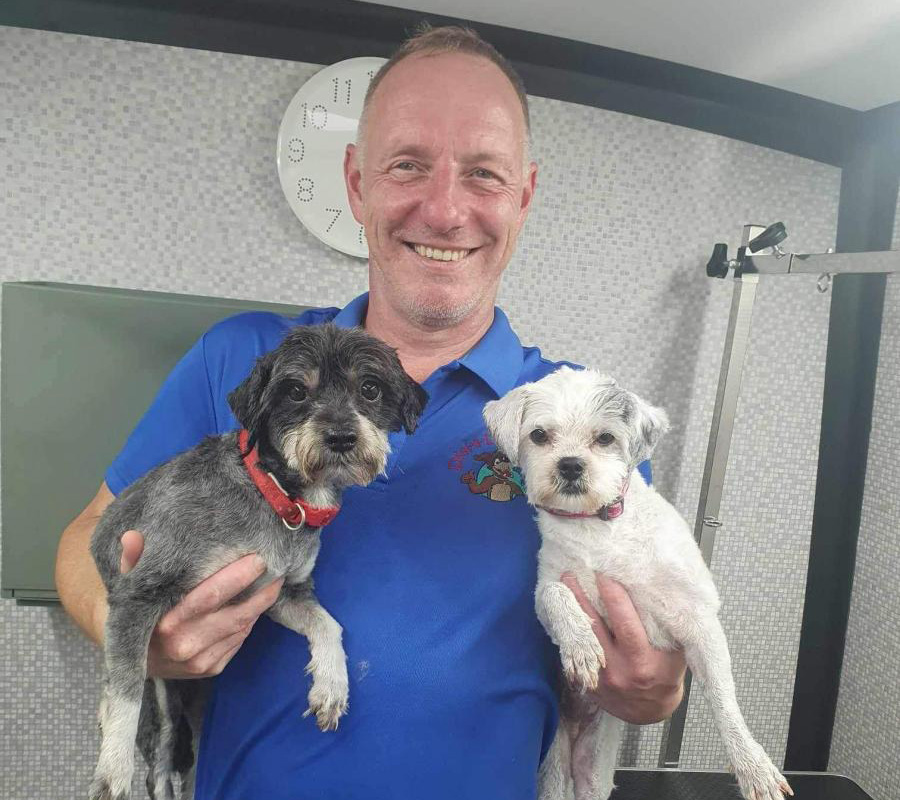 Tom Harty | Dial A Dog Wash Co Kildare Tom Harty | Dial A Dog Wash Co Kildare
