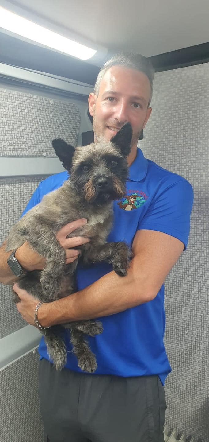 Dial A Dog Wash North East Antrim Mobile dog grooming outside your home - We Come To You!
