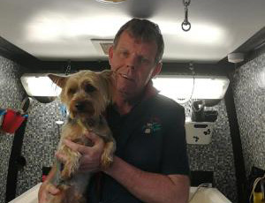 Dermot Butler | Dial A Dog Wash Roscommon, Longford and Westmeath Dermot Butler | Dial A Dog Wash Roscommon, Longford and Westmeath