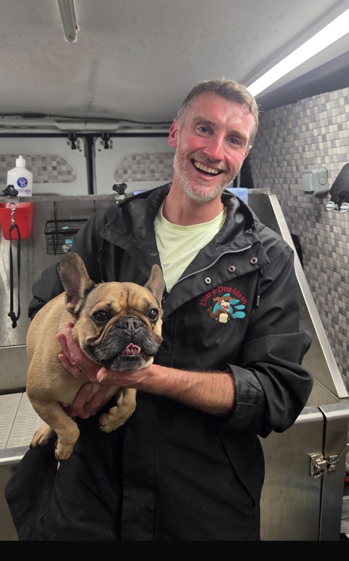  dial a dog wash wicklow gavin
