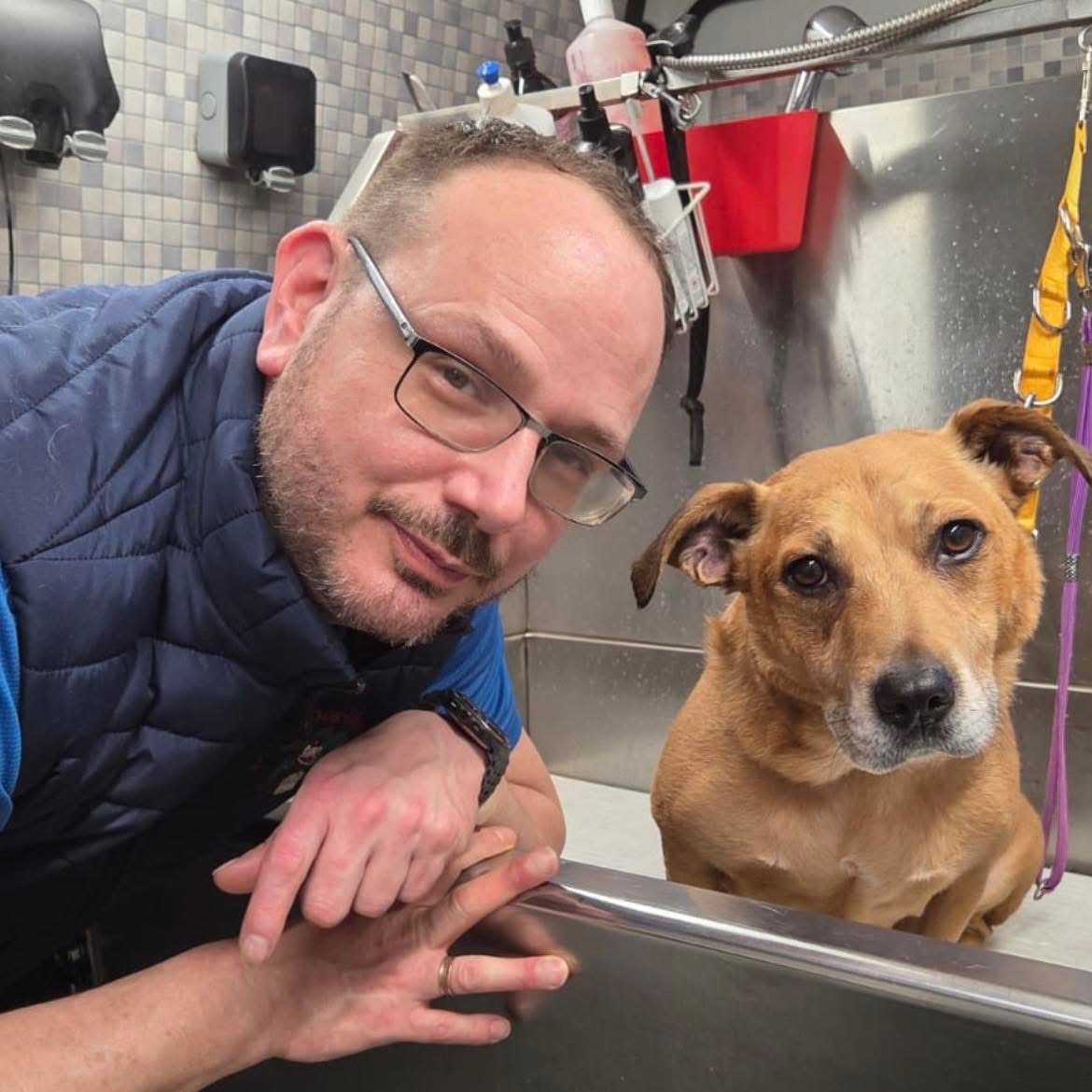 Patrick Dial A Dog Wash Central Tyrone