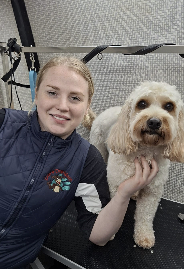 Lauren Dial A Dog Wash Westmeath
