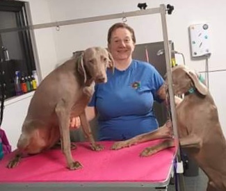 Louise Micklewright | Dial a Dog Wash Daisys Dog Grooming Louise Micklewright | Dial a Dog Wash Daisys Dog Grooming