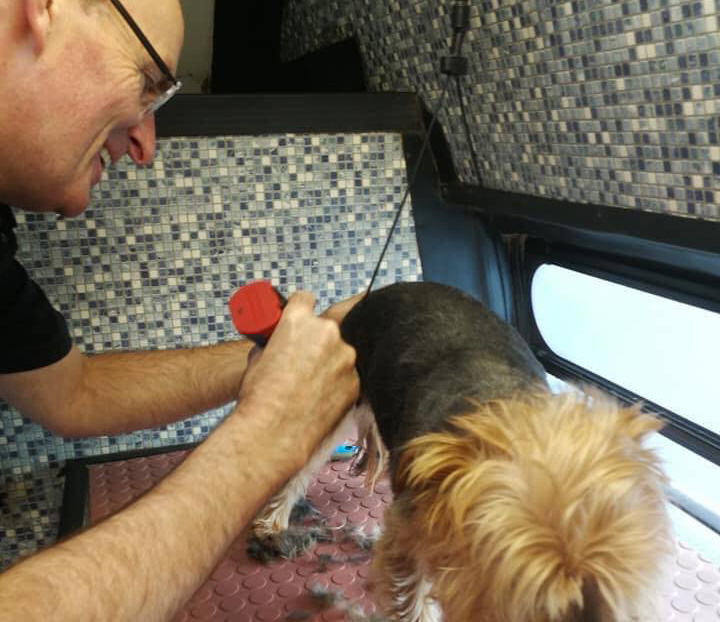 Niall Dalton | Dial A Dog Wash Niall of Co Galway Niall Dalton | Dial A Dog Wash Niall of Co Galway