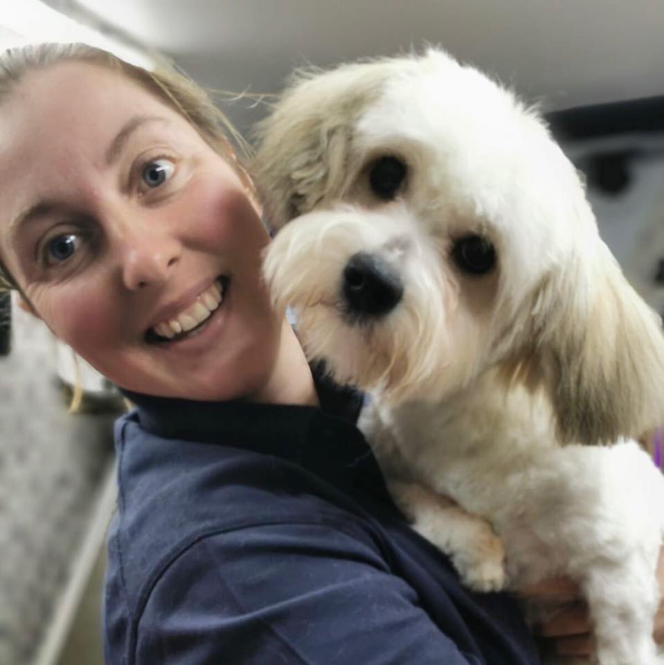 Sarah Jones | Dial A Dog Wash South Dublin Sarah Jones | Dial A Dog Wash South Dublin