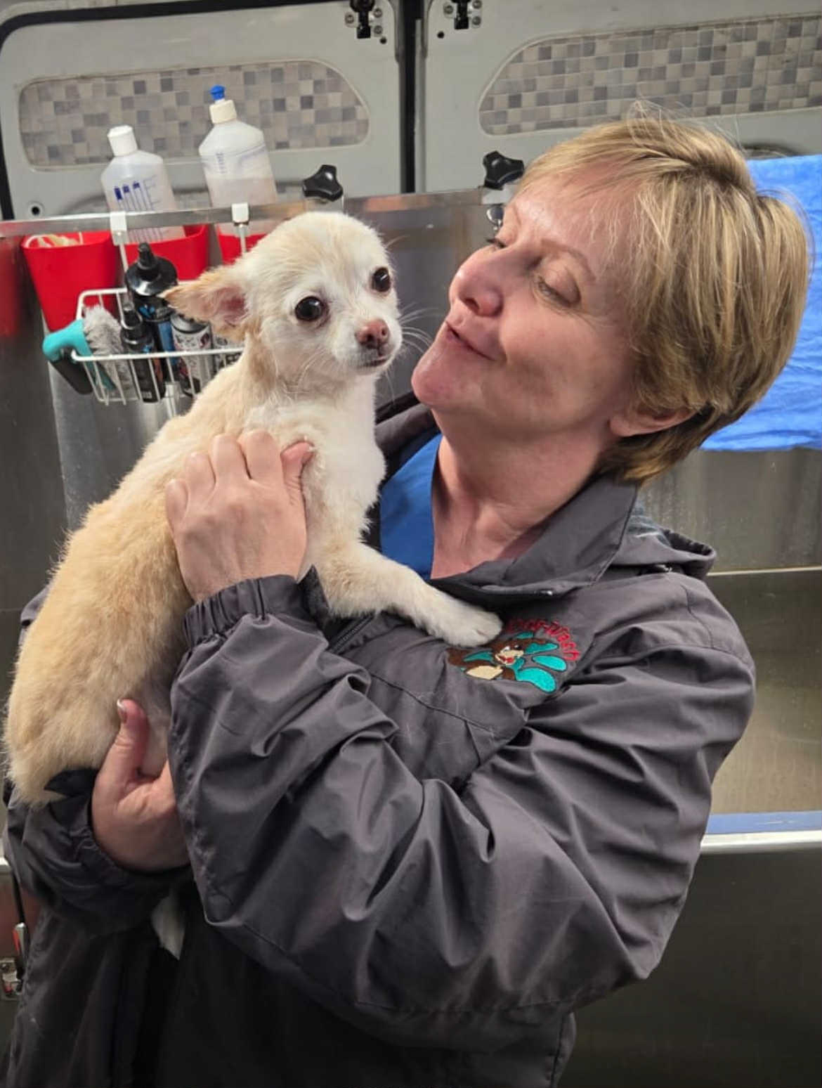 Your Local Dog Groomer Suzanne