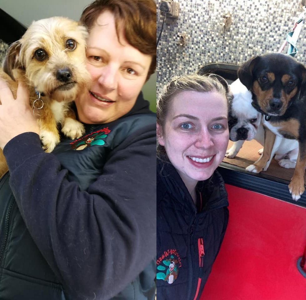 Stephanie and Claire Hevey | Dial a Dog Wash Meath and Cavan Stephanie and Claire Hevey | Dial a Dog Wash Meath and Cavan