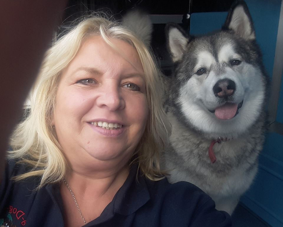 Dial a Dog Wash Newry and Mourne Northern Ireland Dial a Dog Wash Newry and Mourne Northern Ireland