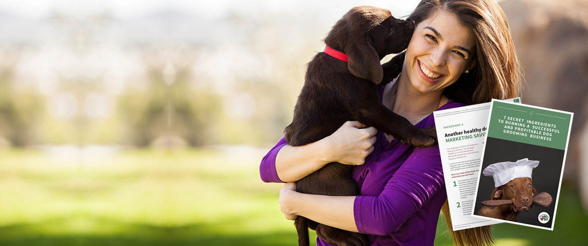 Dial a Dog Wash Ireland: Home Page Image