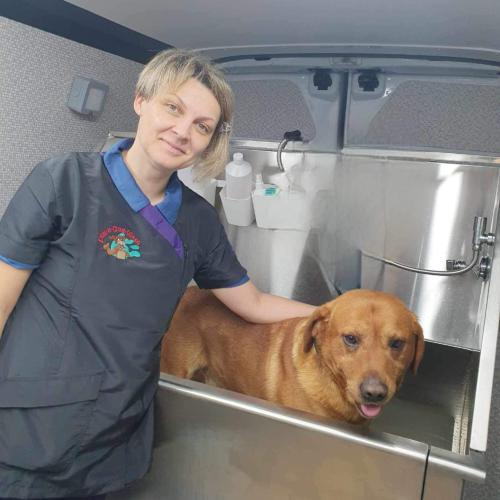 Ioana Frant | Dial A Dog Wash Co Mayo and Co Sligo