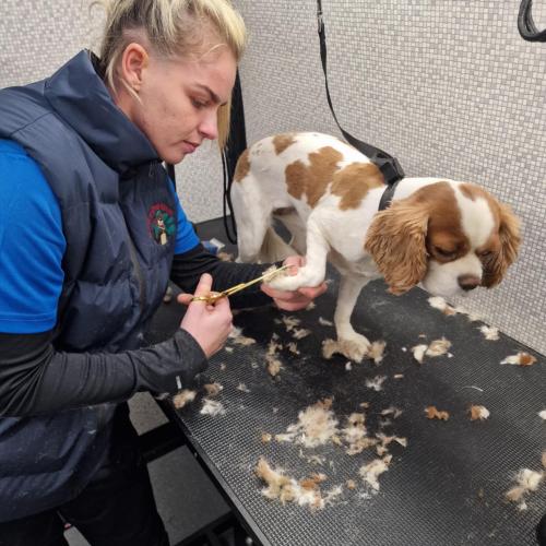 Trim for Bella