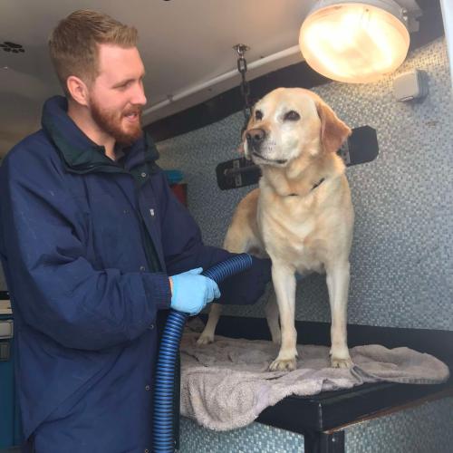 Joe Daniel | Dial a Dog Wash Banbridge, Co Down