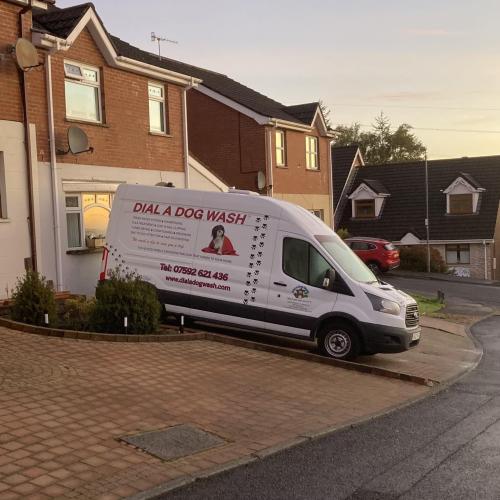 Julie-Anne Harrison | Dial A Dog Wash South and East Belfast