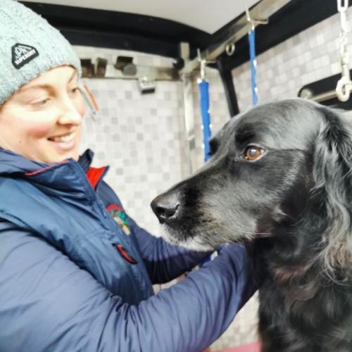 Sarah Jones | Dial A Dog Wash South Dublin