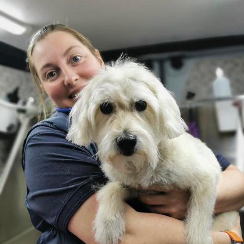Sarah Jones | Dial A Dog Wash South Dublin
