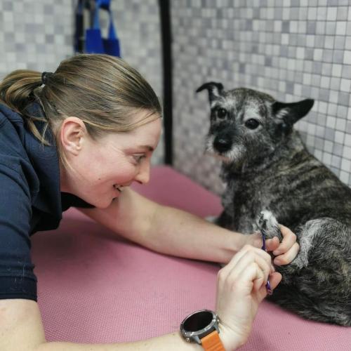 Sarah Jones | Dial A Dog Wash South Dublin