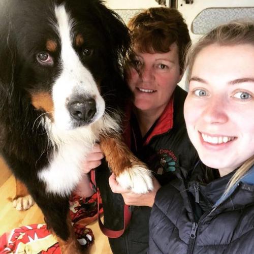 Stephanie and Claire Hevey | Dial a Dog Wash Meath and Cavan