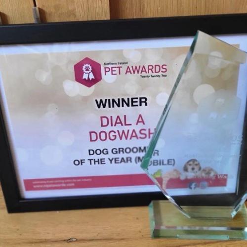 Tom Harty | Dial A Dog Wash Co Kildare