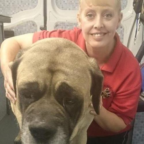Morag Wylie | Dial a Dog Wash Newry and Mourne Northern Ireland