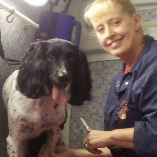 Diane Caddy | Dial A Dog Wash Newry City