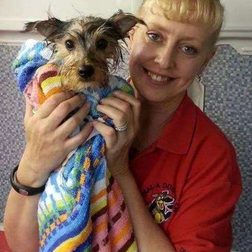 Diane Caddy | Dial A Dog Wash Newry City