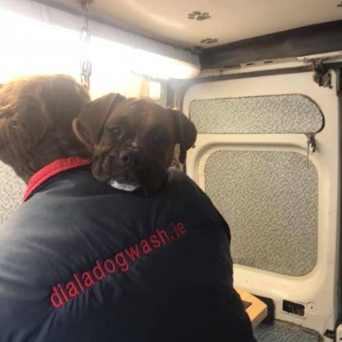 Stephanie and Claire Hevey | Dial a Dog Wash Meath and Cavan