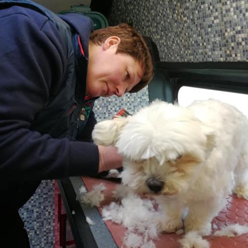 Stephanie and Claire Hevey | Dial a Dog Wash Meath and Cavan