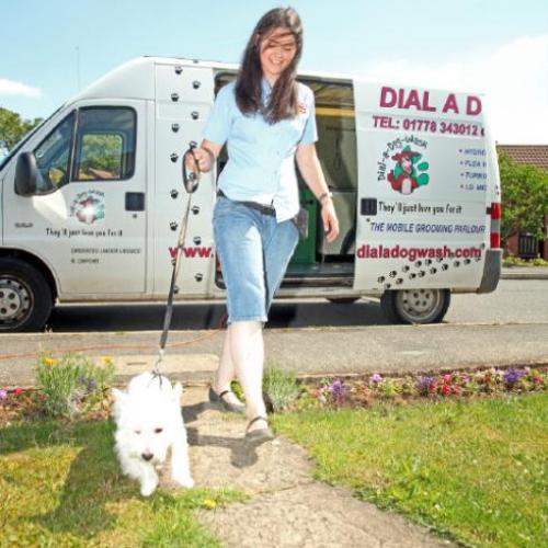 Dial a Dog Wash Ireland: Gallery Image