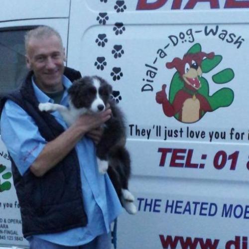 Dial a Dog Wash Ireland: Gallery Image