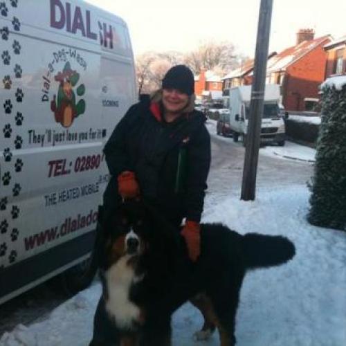 Dial a Dog Wash Ireland: Gallery Image